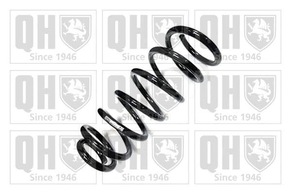 Suspension Spring (QCS7673)