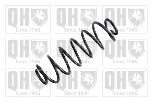 Suspension Spring (QCS7034)