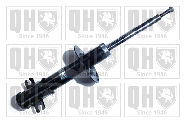 Shock Absorber (QAG178736)