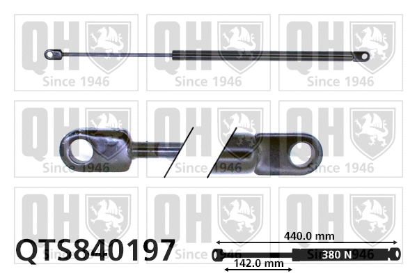 Gas Spring, bonnet (QTS840197)
