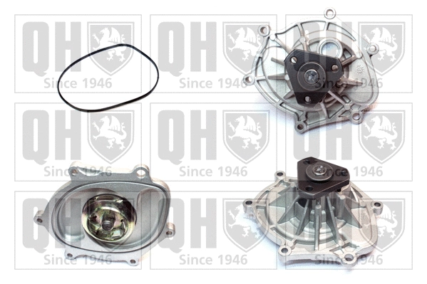 Water Pump, engine cooling (QCP3841)