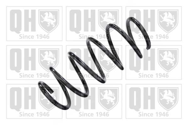 Suspension Spring (QCS7539)