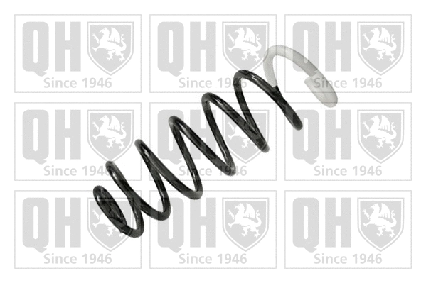 Suspension Spring (QCS6331)