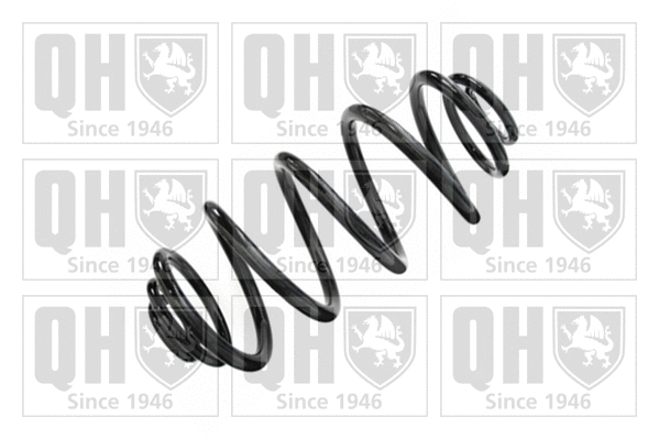 Suspension Spring (QCS5253)