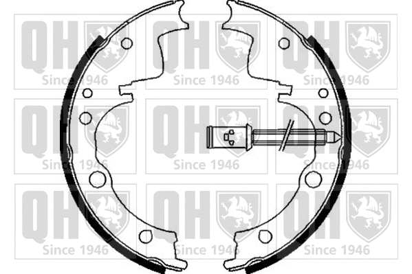 Brake Shoe Set (BS899)