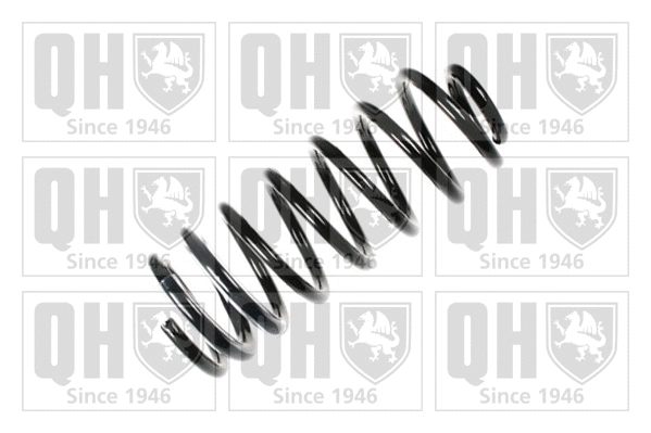 Suspension Spring (QCS6630)