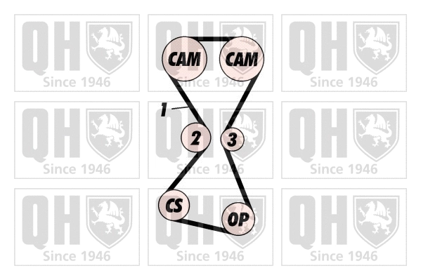 Timing Belt Kit (QBK527)