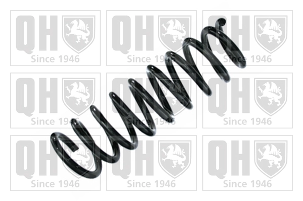 Suspension Spring (QCS8541)