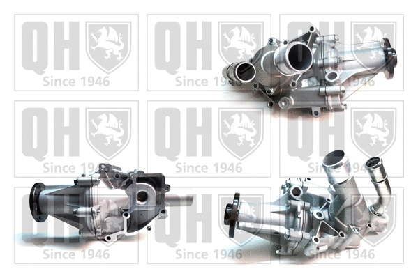 Water Pump, engine cooling (QCP3891BH)