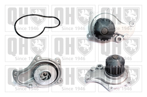 Water Pump, engine cooling (QCP3873)