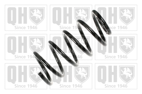 Suspension Spring (QCS5785)