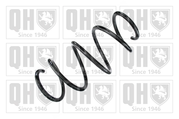 Suspension Spring (QCS8643)