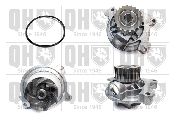 Water Pump, engine cooling (QCP3620HP)
