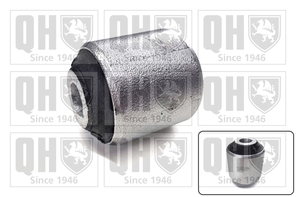 Mounting, control/trailing arm (EMS8732)