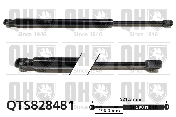 Gas Spring, boot/cargo area (QTS828481)