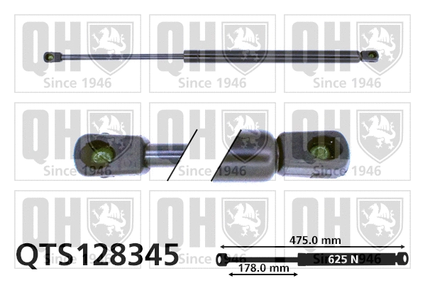 Gas Spring, boot/cargo area (QTS128345)