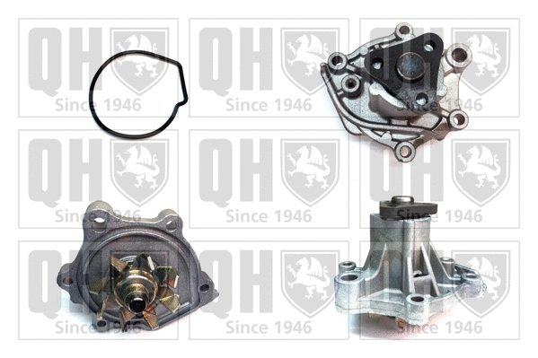Water Pump, engine cooling (QCP2947)