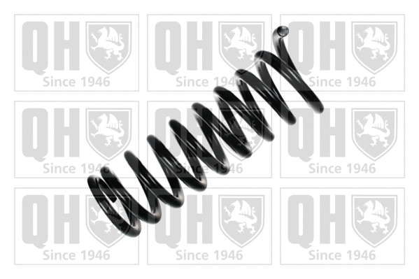 Suspension Spring (QCS7042)
