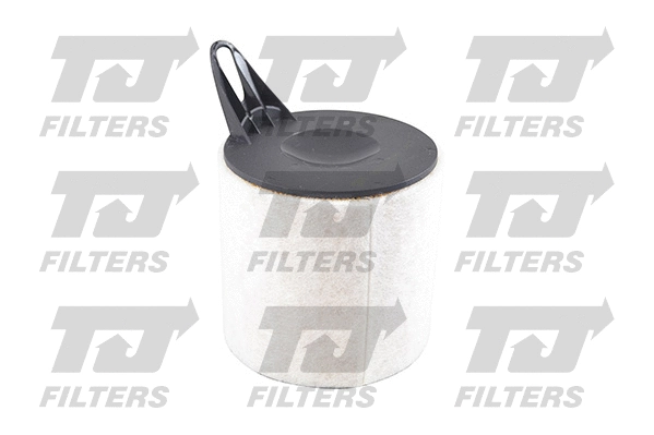 Air Filter (QFA0710)