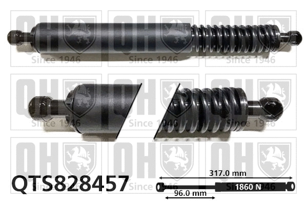 Gas Spring, boot/cargo area (QTS828457)