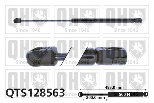 Gas Spring, boot/cargo area (QTS128563)