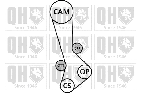 Timing Belt Kit (QBK803)