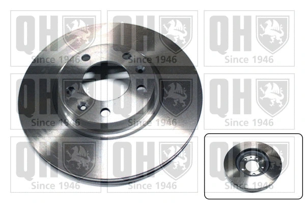 Brake Disc (BDC5319)