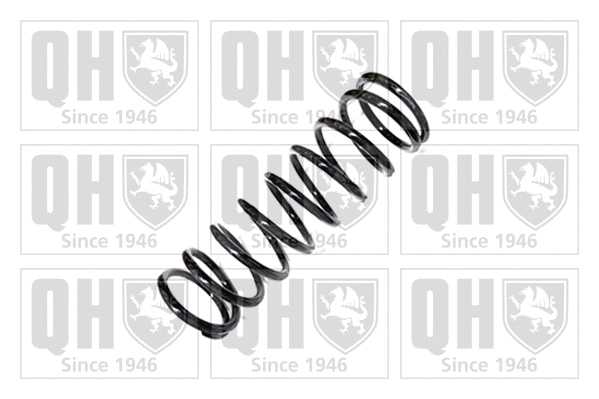 Suspension Spring (QCS6156)