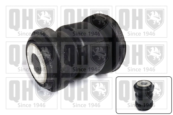 Mounting, control/trailing arm (EMS8738)