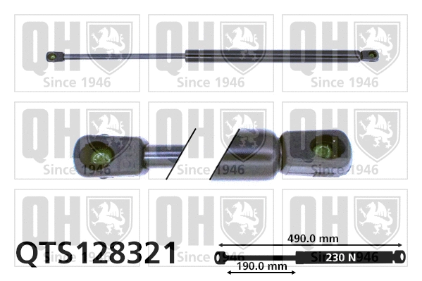 Gas Spring, boot/cargo area (QTS128321)
