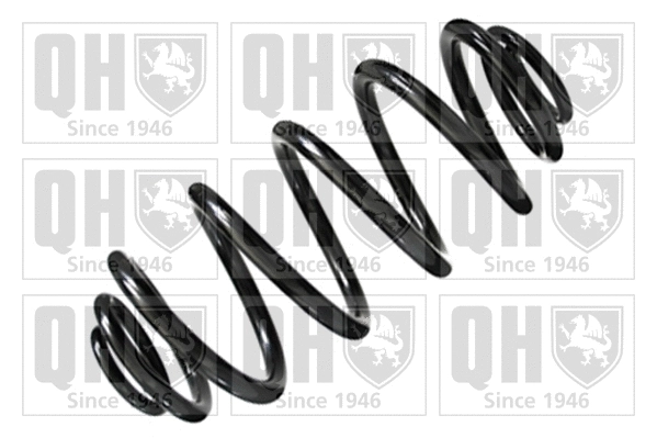 Suspension Spring (QCS5685)