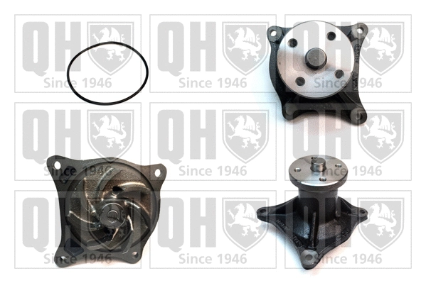 Water Pump, engine cooling (QCP2830)