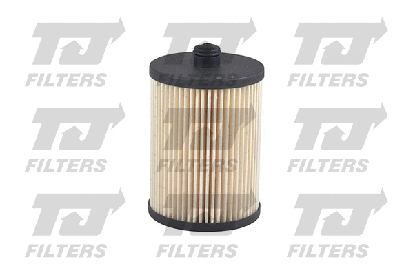 Fuel Filter (QFF0019)