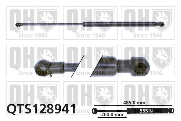 Gas Spring, boot/cargo area (QTS128941)