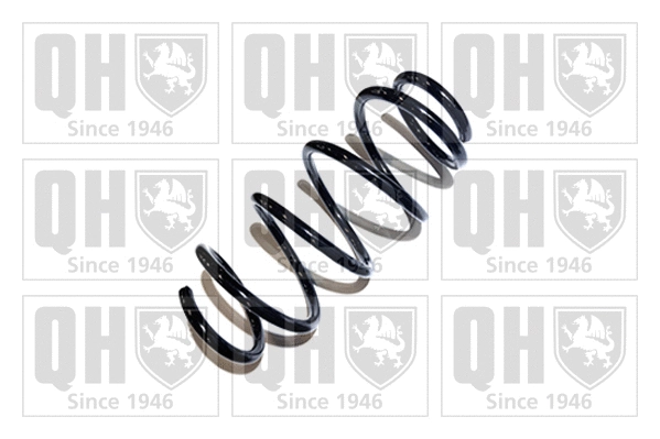 Suspension Spring (QCS5520)