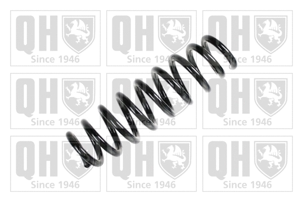 Suspension Spring (QCS7647)
