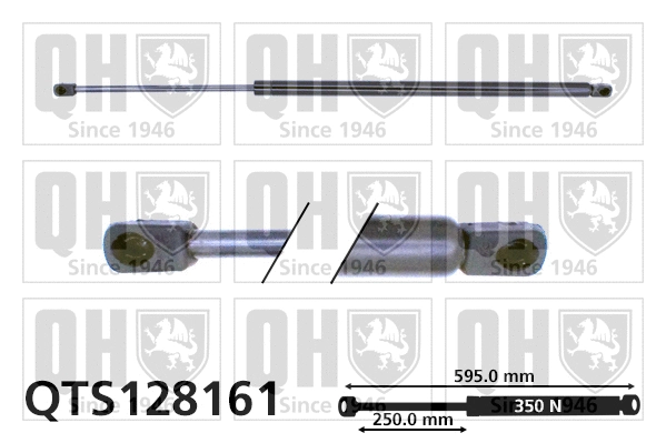 Gas Spring, boot/cargo area (QTS128161)