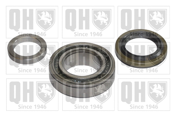 Wheel Bearing Kit (QWB599)