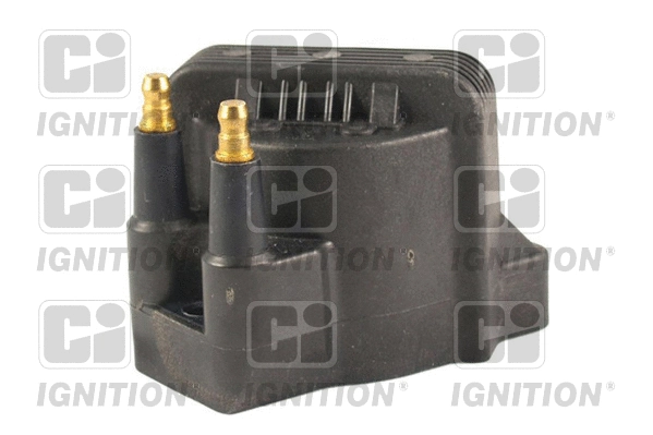 Ignition Coil (XIC8134)