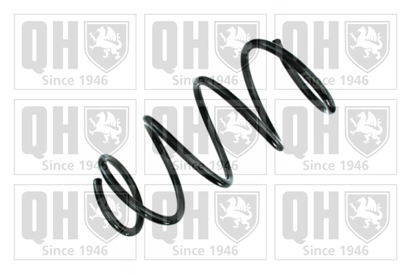 Suspension Spring (QCS8581)