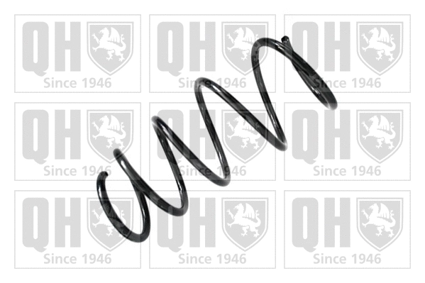 Suspension Spring (QCS7758)
