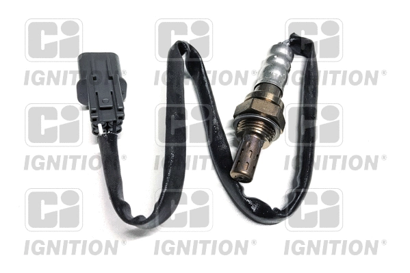 Lambda Sensor (XLOS1731)