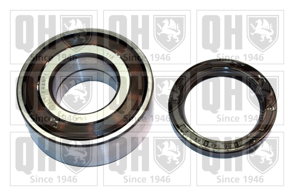 Wheel Bearing Kit (QWB230)