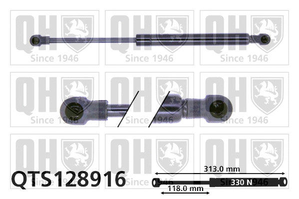 Gas Spring, bonnet (QTS128916)