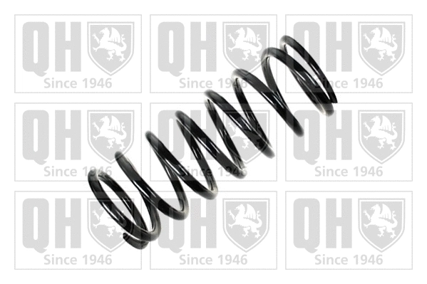 Suspension Spring (QCS5479)
