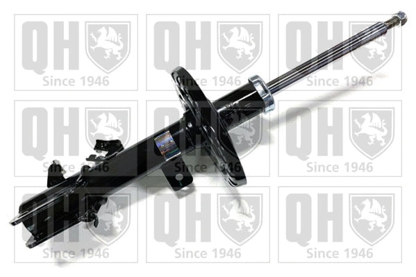 Shock Absorber (QAG878018)