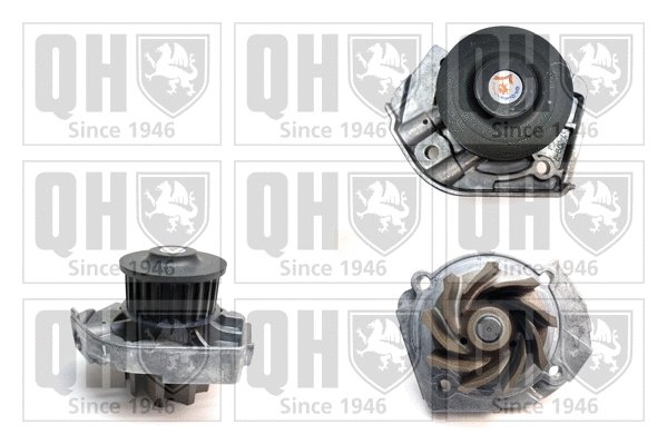 Water Pump, engine cooling (QCP3652)