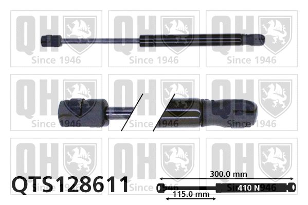 Gas Spring, boot/cargo area (QTS128611)