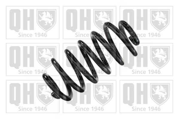 Suspension Spring (QCS8401)
