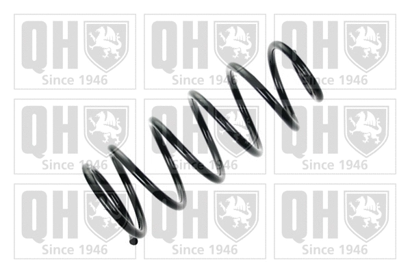 Suspension Spring (QCS5082)